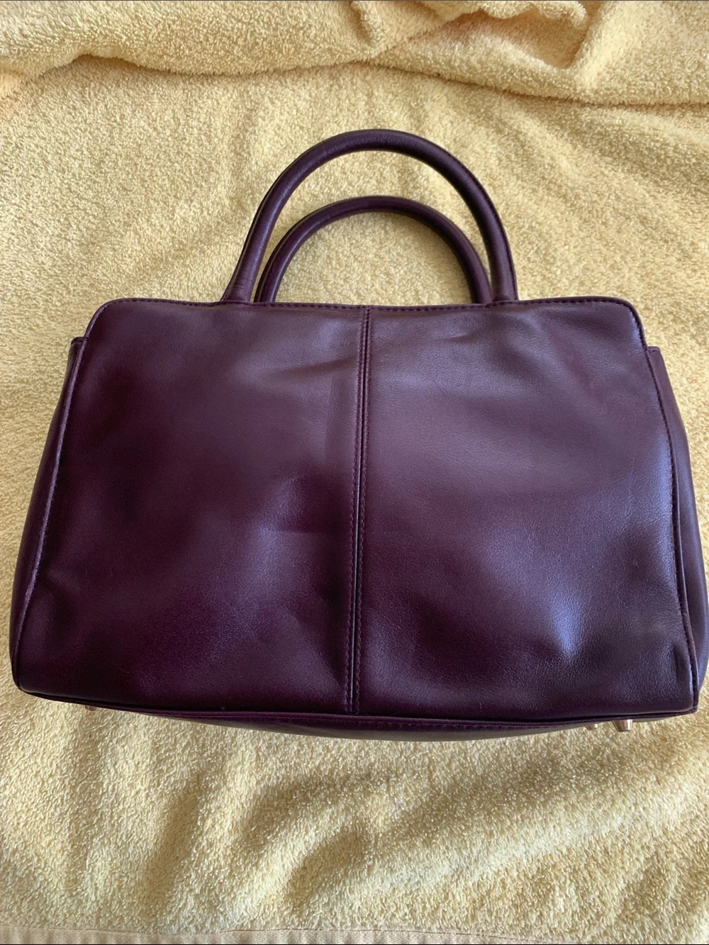 Elegant Etienne Aignar Women's Brown Soft Leather handbag